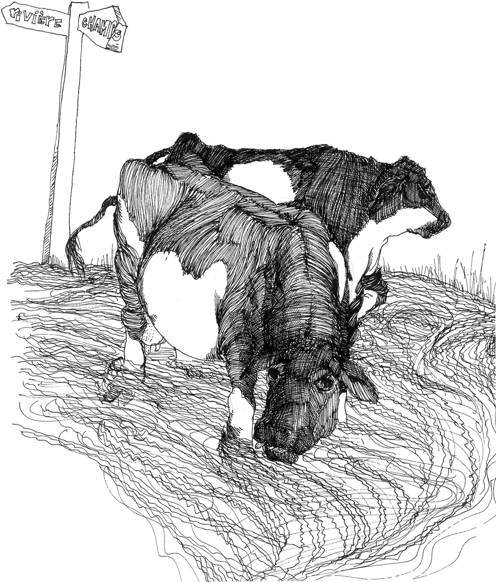 Les vaches au théâtre